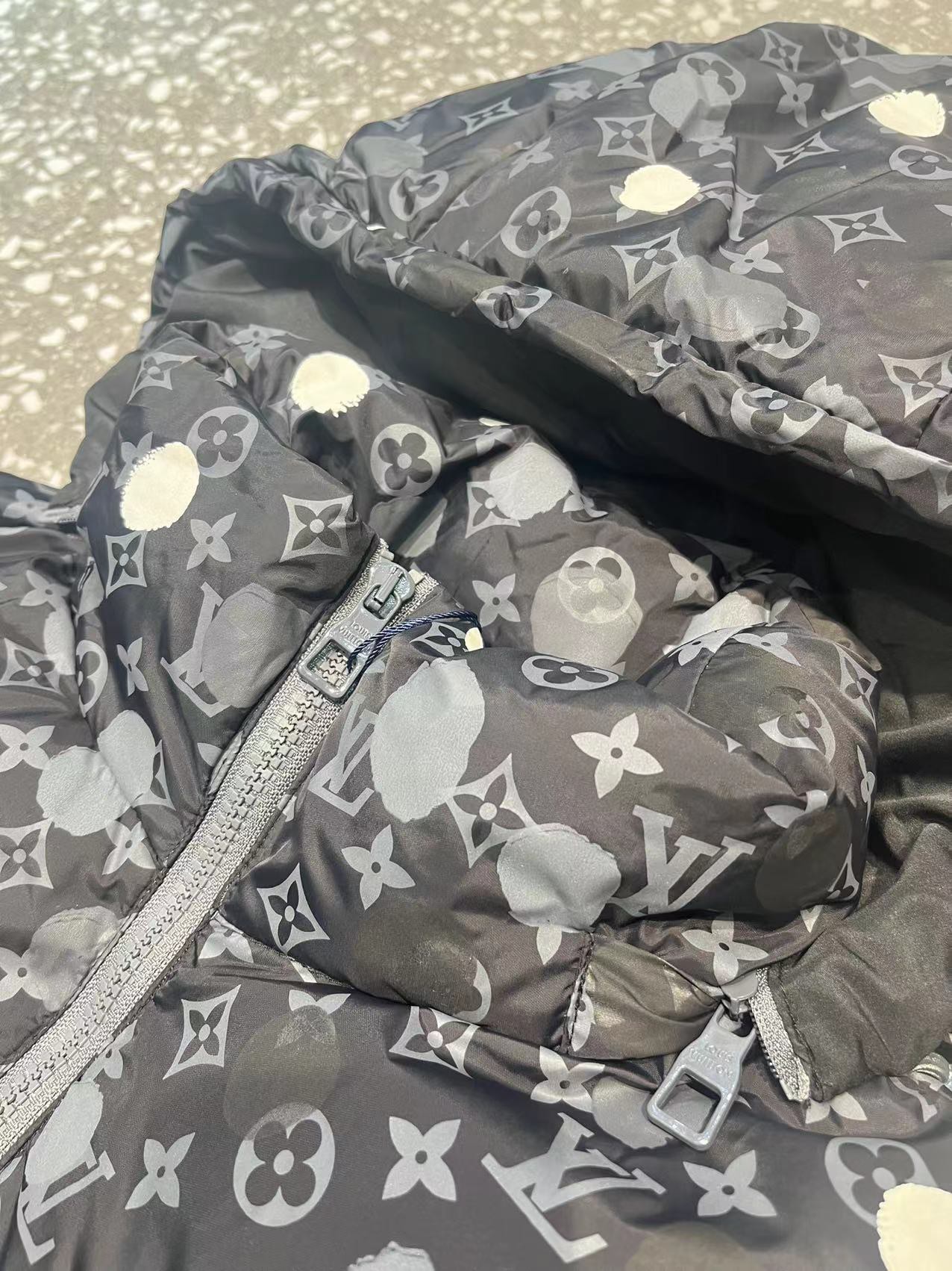 Louis Vuitton Down Jackets